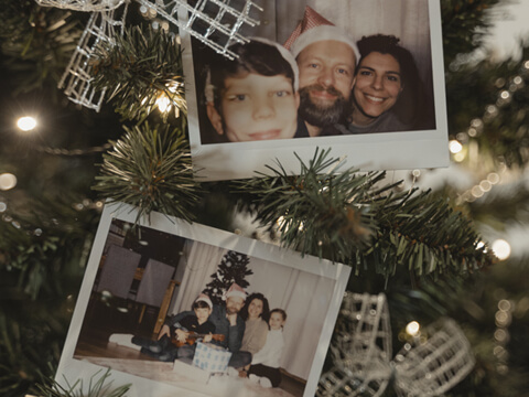 Polaroid pictures on a tree